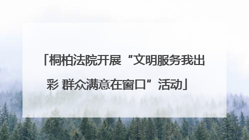 桐柏法院开展“文明服务我出彩 群众满意在窗口”活动