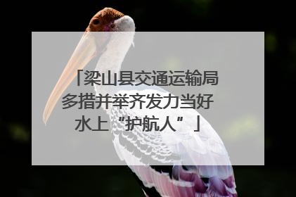 梁山县交通运输局多措并举齐发力当好水上“护航人”