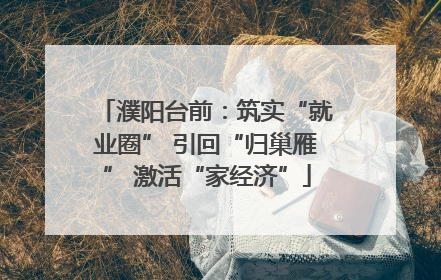 濮阳台前：筑实“就业圈” 引回“归巢雁” 激活“家经济”