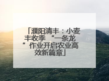 濮阳清丰：小麦丰收季 “一条龙”作业开启农业高效新篇章