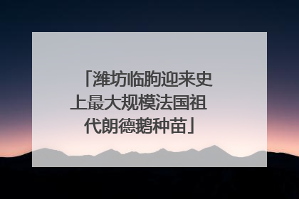 潍坊临朐迎来史上最大规模法国祖代朗德鹅种苗