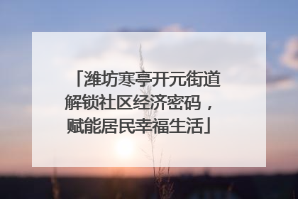 潍坊寒亭开元街道解锁社区经济密码，赋能居民幸福生活