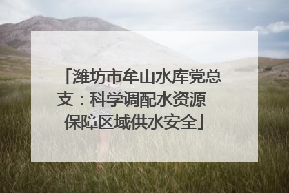 潍坊市牟山水库党总支：科学调配水资源 保障区域供水安全