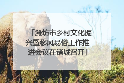 潍坊市乡村文化振兴暨移风易俗工作推进会议在诸城召开