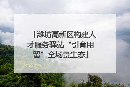 潍坊高新区构建人才服务驿站“引育用留”全场景生态