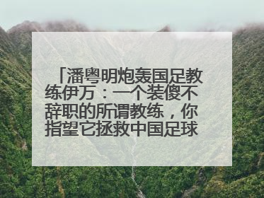潘粤明炮轰国足教练伊万：一个装傻不辞职的所谓教练，你指望它拯救中国足球！此前曾多次发文评价国足