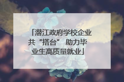 潜江政府学校企业共“搭台” 助力毕业生高质量就业