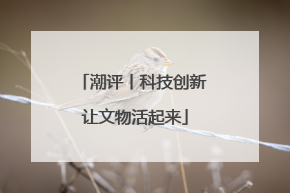 潮评丨科技创新让文物活起来