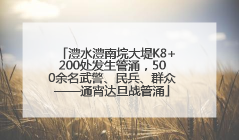 澧水澧南垸大堤K8+200处发生管涌，500余名武警、民兵、群众——通宵达旦战管涌