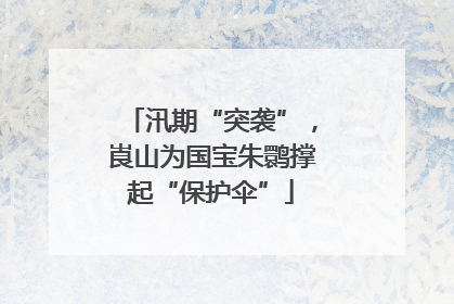 汛期“突袭”，崀山为国宝朱鹮撑起“保护伞”