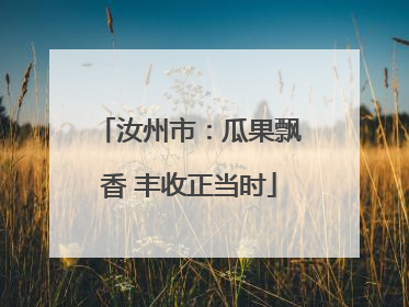 汝州市：瓜果飘香 丰收正当时
