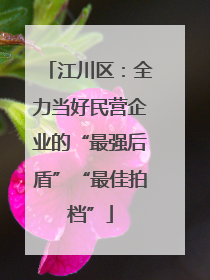 江川区：全力当好民营企业的“最强后盾”“最佳拍档”