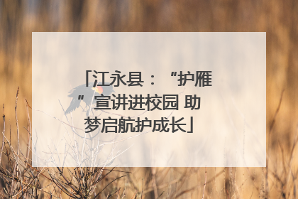 江永县：“护雁”宣讲进校园 助梦启航护成长