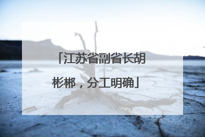 江苏省副省长胡彬郴，分工明确