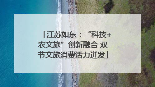 江苏如东：“科技+农文旅”创新融合 双节文旅消费活力迸发