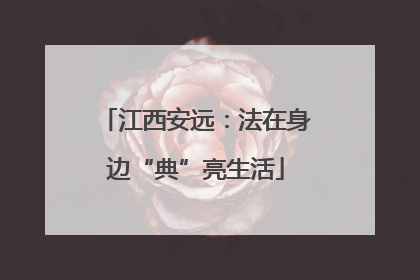 江西安远：法在身边“典”亮生活