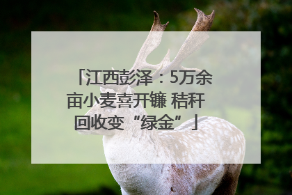 江西彭泽：5万余亩小麦喜开镰 秸秆回收变“绿金”