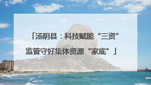 汤阴县：科技赋能“三资”监管守好集体资源“家底”