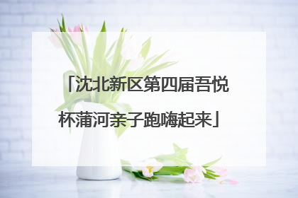 沈北新区第四届吾悦杯蒲河亲子跑嗨起来