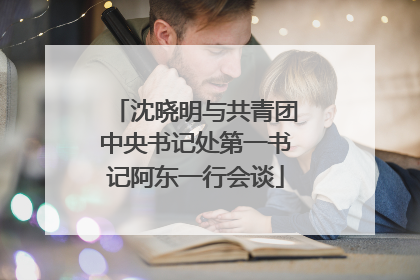 沈晓明与共青团中央书记处第一书记阿东一行会谈