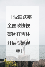 沈跃跃率全国政协视察团在吉林开展专题视察