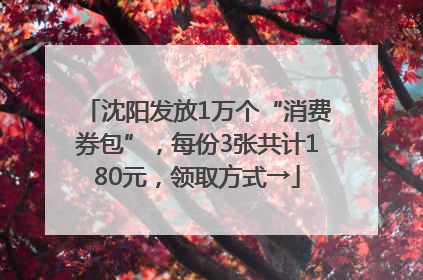 沈阳发放1万个“消费券包”，每份3张共计180元，领取方式→