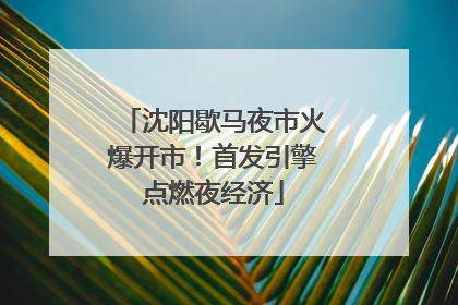 沈阳歇马夜市火爆开市！首发引擎点燃夜经济