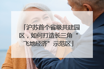 沪苏首个省级共建园区，如何打造长三角“飞地经济”示范区