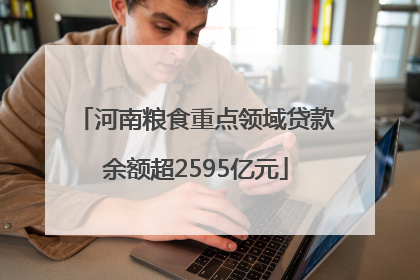 河南粮食重点领域贷款余额超2595亿元