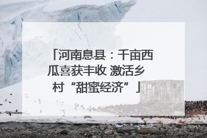 河南息县：千亩西瓜喜获丰收 激活乡村“甜蜜经济”