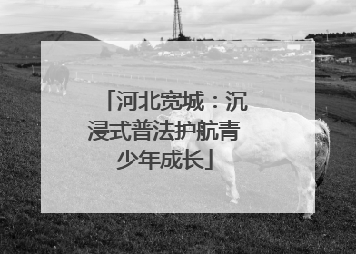 河北宽城：沉浸式普法护航青少年成长