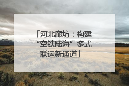 河北廊坊：构建“空铁陆海”多式联运新通道