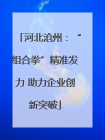 河北沧州：“组合拳”精准发力 助力企业创新突破