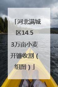 河北满城区14.53万亩小麦开镰收割（组图）