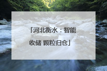 河北衡水：智能收储 颗粒归仓
