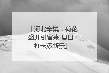 河北辛集：荷花盛开引客来 夏日打卡添新景