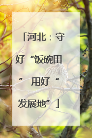 河北：守好“饭碗田” 用好“发展地”