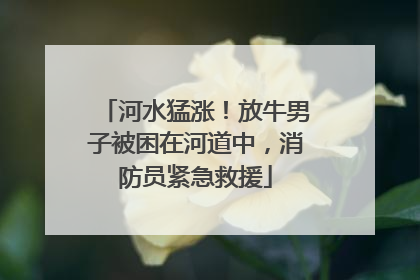 河水猛涨！放牛男子被困在河道中，消防员紧急救援