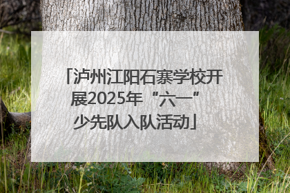 泸州江阳石寨学校开展2025年“六一”少先队入队活动