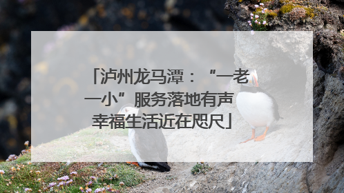 泸州龙马潭：“一老一小”服务落地有声 幸福生活近在咫尺