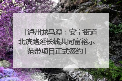 泸州龙马潭：安宁街道北滨路延长线共同富裕示范带项目正式签约