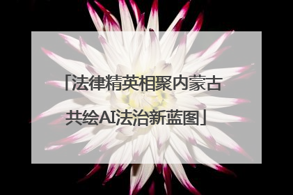 法律精英相聚内蒙古 共绘AI法治新蓝图