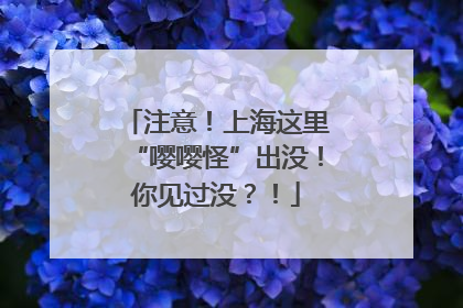 注意！上海这里“嘤嘤怪”出没！你见过没？！