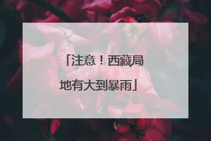 注意！西藏局地有大到暴雨