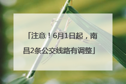 注意！6月1日起，南昌2条公交线路有调整