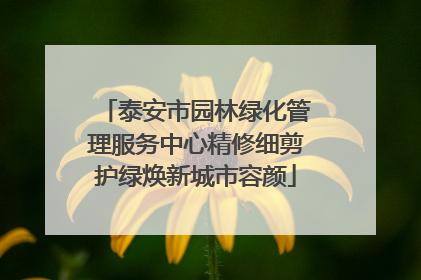 泰安市园林绿化管理服务中心精修细剪护绿焕新城市容颜