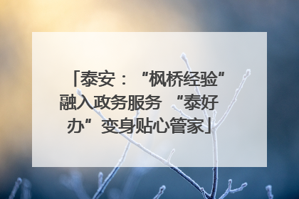 泰安：“枫桥经验”融入政务服务 “泰好办”变身贴心管家