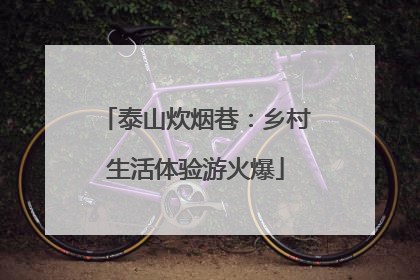 泰山炊烟巷：乡村生活体验游火爆