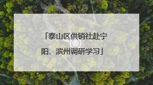 泰山区供销社赴宁阳、滨州调研学习