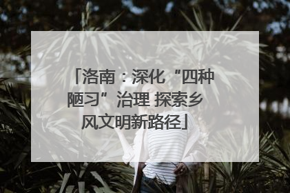 洛南：深化“四种陋习”治理 探索乡风文明新路径